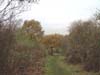 21kx.JPG (65032 bytes)