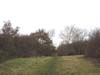 30kx.JPG (42218 bytes)